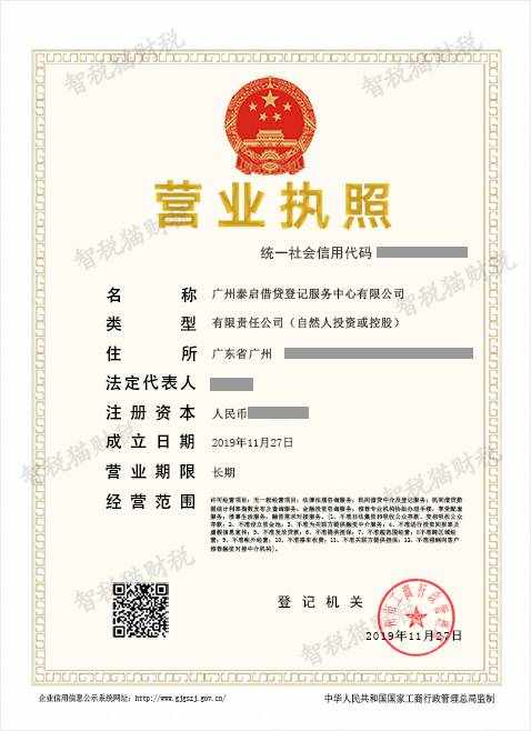 注册公司代理案例-广州泰启借贷登记服务中心注册案例